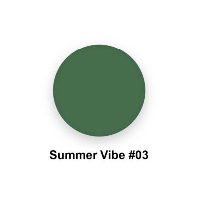 03 Summer Vibe